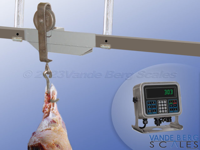 Static Monorail weighing a beef carcass with digital display showing the weight