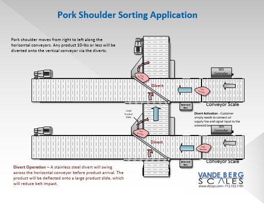 Food Grade Conveyor for Pork Shoulder Sorting Application